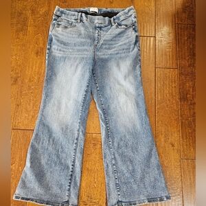 Lane Bryant Light Blue Flare Jeans